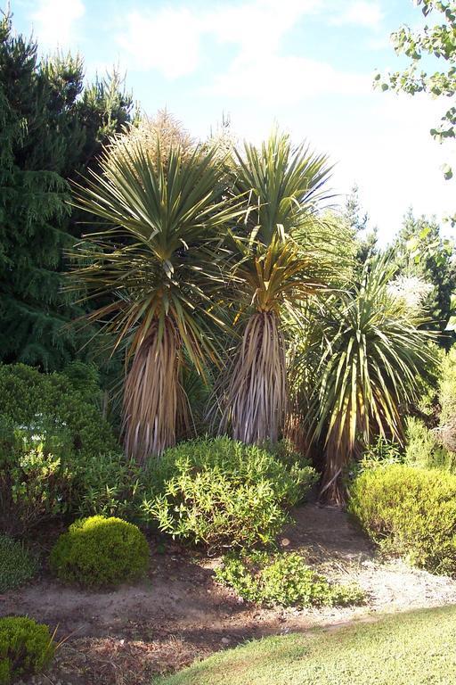 Garden View Bed & Breakfast Rolleston Exterior photo