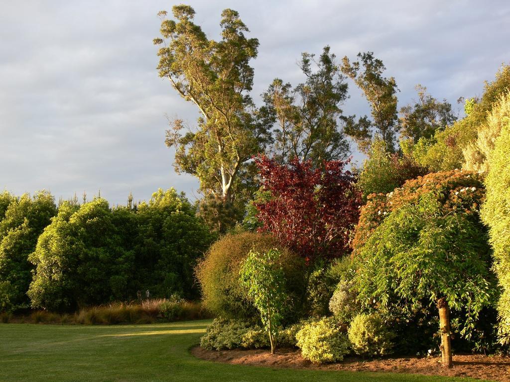 Garden View Bed & Breakfast Rolleston Exterior photo